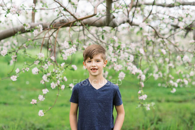 Porträt eines Jungen in einem Obstgarten — Stockfoto