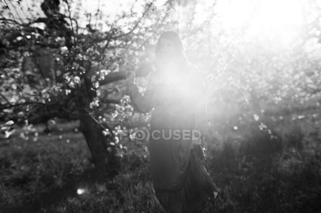 Retrato de uma mulher em um pomar de maçã — Fotografia de Stock