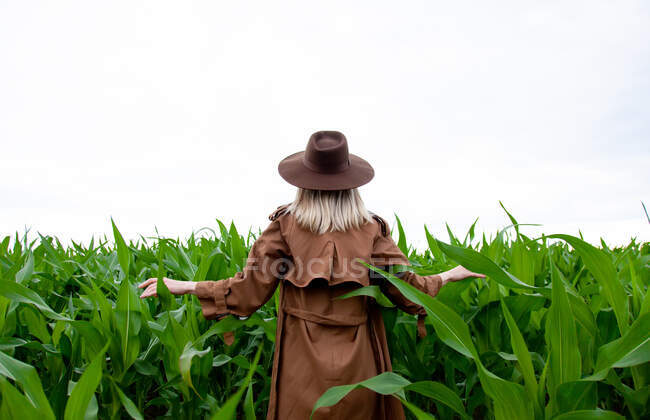 Блондинка в плащі і капелюсі на кукурудзяному полі в літній час — стокове фото