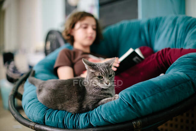 Graue Katze sitzt auf einem Papasan-Stuhl, ein Teenager liest ein Buch — Stockfoto