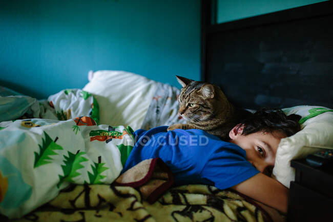 Tabby gato acostado en la espalda de un niño mientras se despierta por la mañana - foto de stock