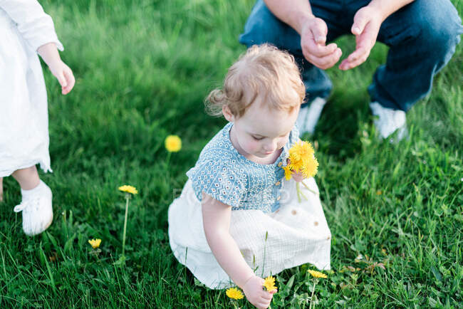 A sweet and innocent little girl picking dandelion — Stock Photo