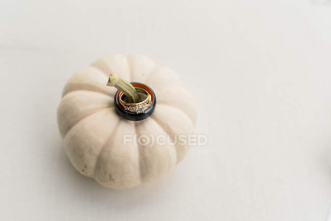 Close up shot of two wedding rings placed on an ornamental pumpkin — Stock Photo