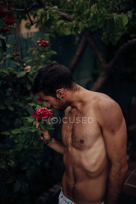 Junger Mann mit nacktem Oberkörper, der nach einer Rose riecht — Stockfoto