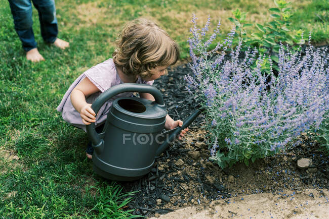 Девушка помогает с поливом растений в саду — стоковое фото