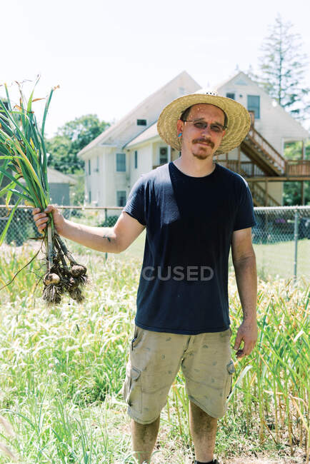 Close up of a man holding his freshly picked garlic bulbs — Stock Photo
