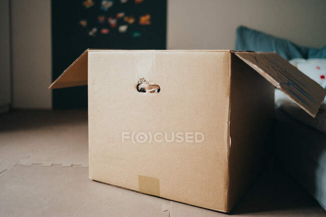 Bambino che gioca a peekabo nascondendosi in una scatola a casa durante l'isolamento — Foto stock