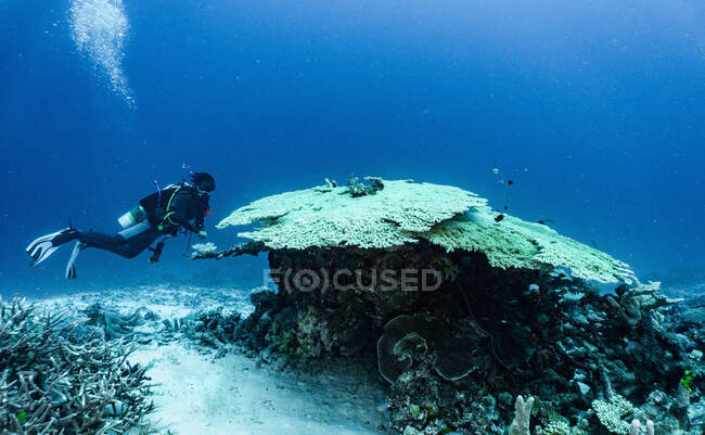 Buceador explorando cueva en la Gran Barrera de Coral - foto de stock