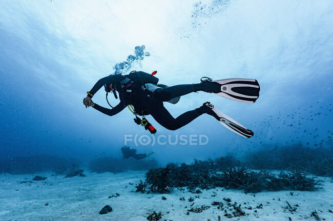 Buceador explorando cueva en la Gran Barrera de Coral - foto de stock