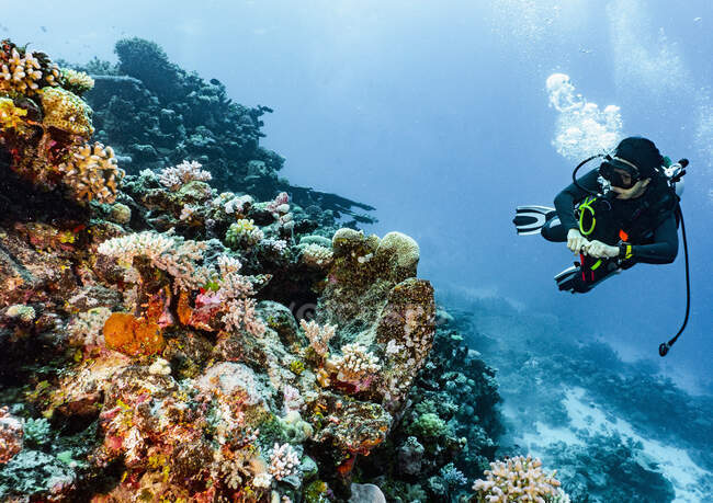 Immersione subacquea esplorando grotta presso la Grande Barriera Corallina — Foto stock