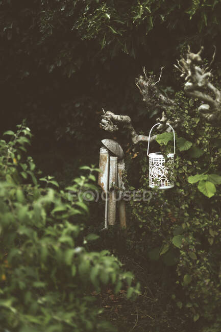 Carillon a vento in legno appesi ad un albero morto — Foto stock