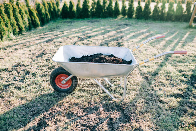 Wheelbarrow filled with soil on a lawn at sunset — Stock Photo