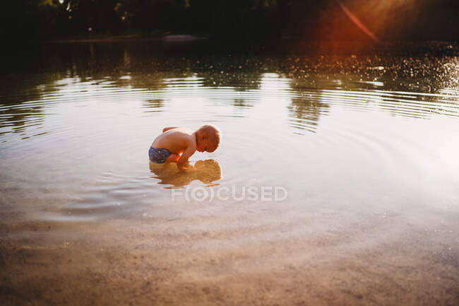 Маленький ребенок ищет камни под водой на озере с золотым светом — стоковое фото