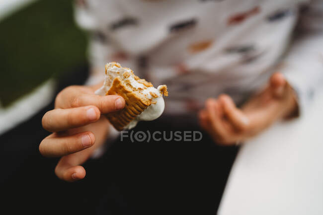 Close up of bitten cookies and marshmallows smores — Stock Photo