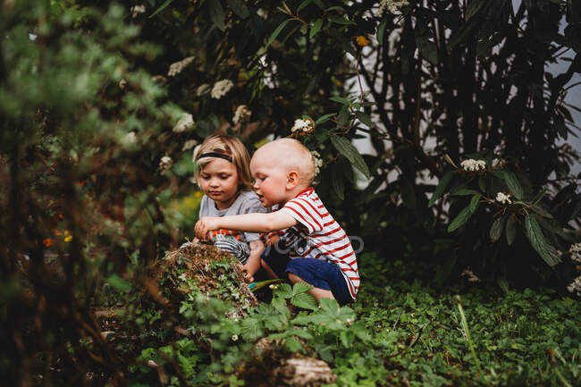 Блондинки хлопчики грають на задньому дворі босоніж, шукаючи жуків — стокове фото
