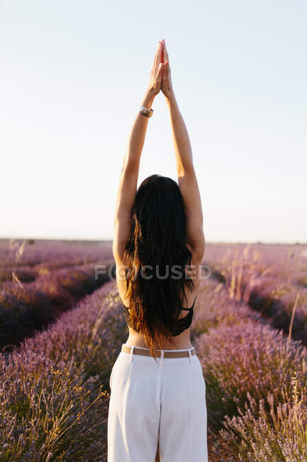 Femme brune sur le dos l'étirant dans un champ de lavande — Photo de stock