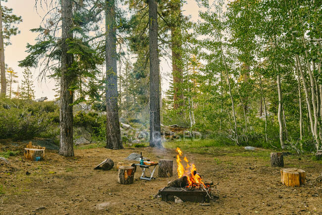 Camping en el bosque en el fondo de la naturaleza - foto de stock
