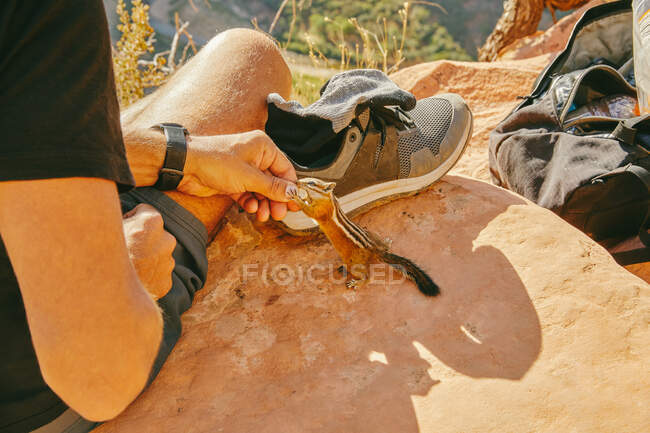 Junger Mann füttert ein Streifenhörnchen mit Cashew im Zion Nationalpark, Utah — Stockfoto
