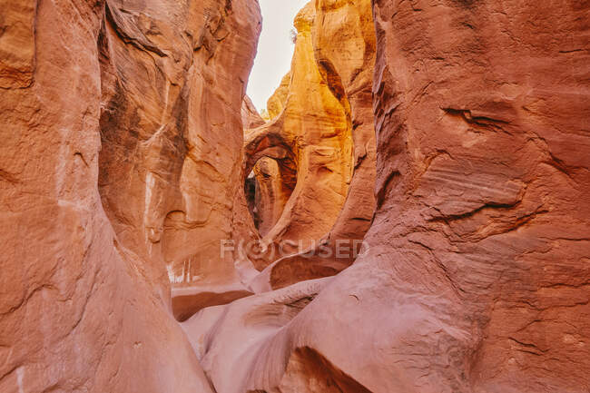 Bella vista della natura con roccia sullo sfondo — Foto stock