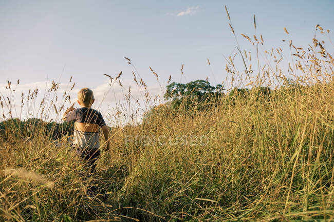 Um menino em um campo de grama alta sob um céu de verão — Fotografia de Stock