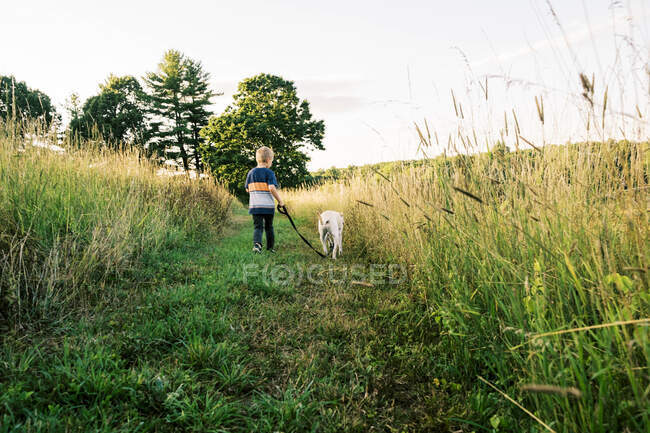 Un niño que lleva a su cachorro en una caminata de verano en un campo - foto de stock