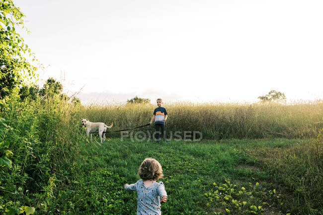 Two kids taking their puppy on a summer evening walk in a field — Stock Photo