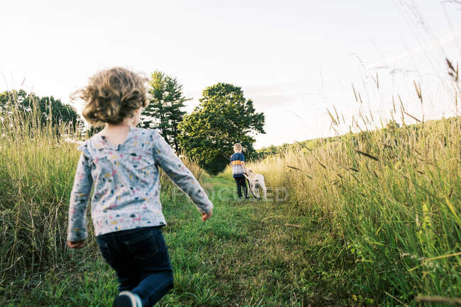 Deux enfants emmènent leur chiot lors d'une promenade d'été dans un champ — Photo de stock