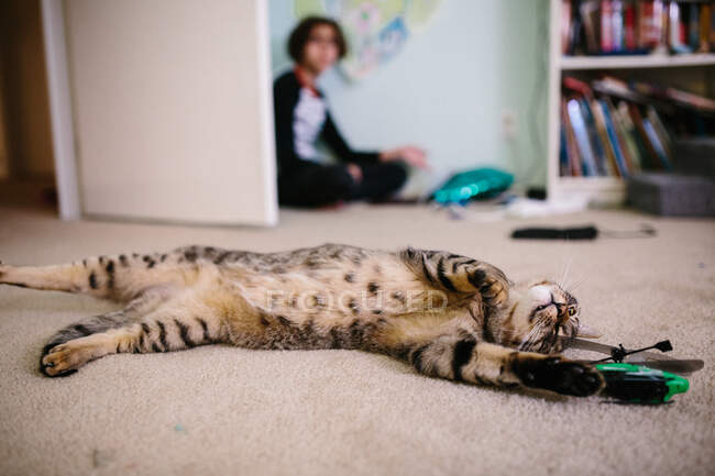 Gato Tabby se extiende en la alfombra junto a un juguete helicóptero - foto de stock