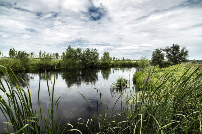 Estate lago verde con erba e cielo nuvoloso blu — Foto stock