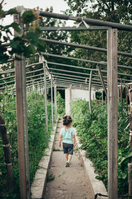 Kleines Mädchen im selbstgebauten Gewächshaus. Rückseite. — Stockfoto