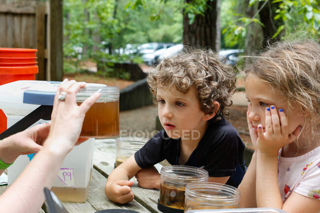 Dos niños aprendiendo sobre animales que viven en un parque estatal - foto de stock