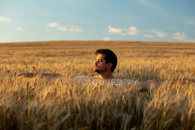 Hombre sin ropa en el campo de trigo al atardecer - foto de stock