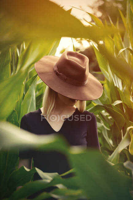 Femme blonde en chapeau et robe noire dans le champ de maïs — Photo de stock