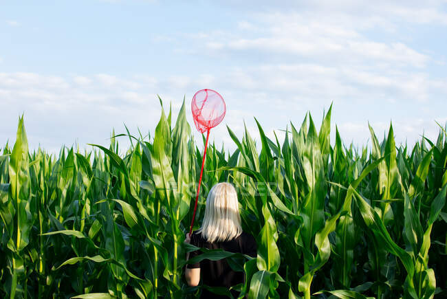 Donna bionda in abito nero con rete a farfalla in campo di grano — Foto stock
