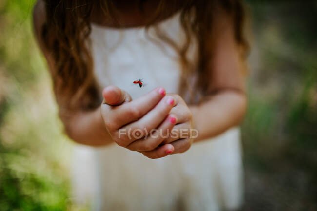 Nahaufnahme eines Marienkäfers, der jungen Mädchen aus der Hand fliegt — Stockfoto