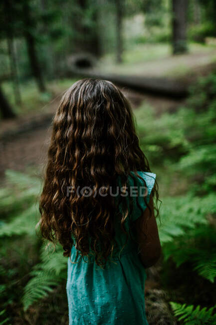 Chica joven mirando hacia el bosque sendero - foto de stock