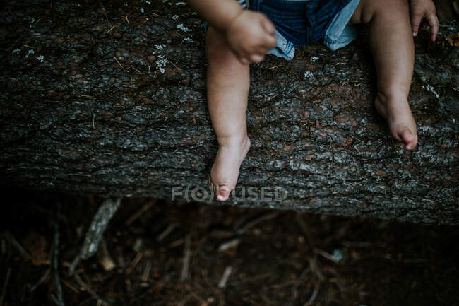 Overhead of baby feet sitting on a log — Stock Photo