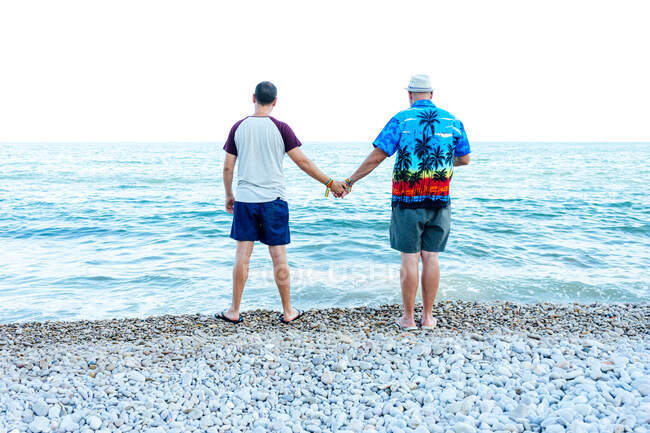 Visão traseira do casal de casamento de mãos dadas enquanto olha para o mar em — Fotografia de Stock