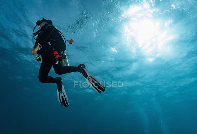 Diver ascending to the surface at the Great Barrier Reef — Stock Photo