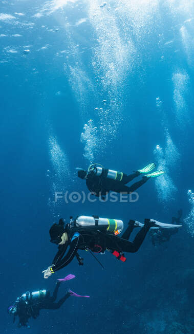 Sommozzatori che scendono nel blu della Grande Barriera Corallina — Foto stock
