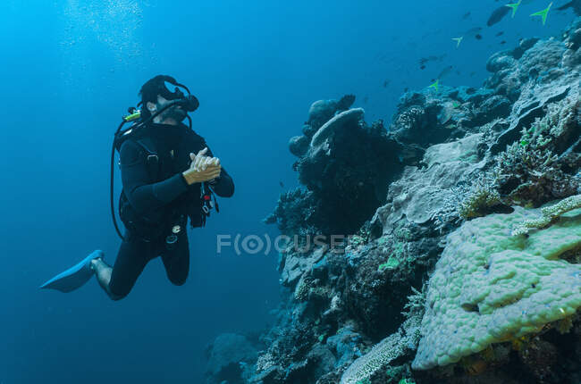 Diver exploring coral at the Great Barrie Reef — Stock Photo