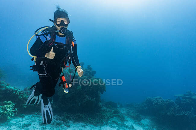 Дайвер, исследующий Большой Барри-риф — подводное плавание, Изображение - Stock Photo