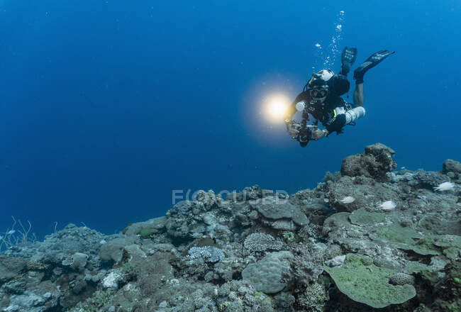 Fotógrafo subaquático descendo em direção a coral no fundo do oceano — Fotografia de Stock