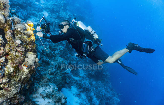 Fotógrafo submarino en la gran barrera de coral - foto de stock