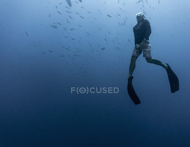 Free diver ascending to the surface at the great Barrier Reef — Stock Photo