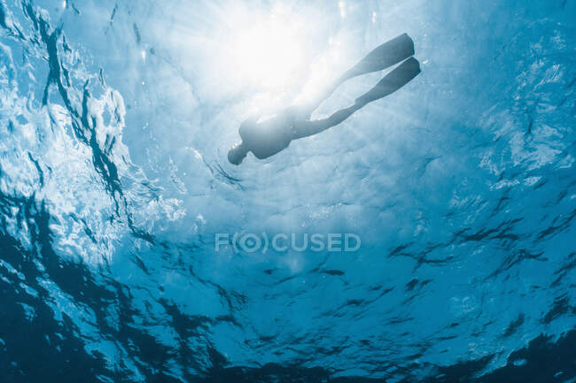 Plongeur libre près de la surface sur la Grande Barrière de Corail — Photo de stock