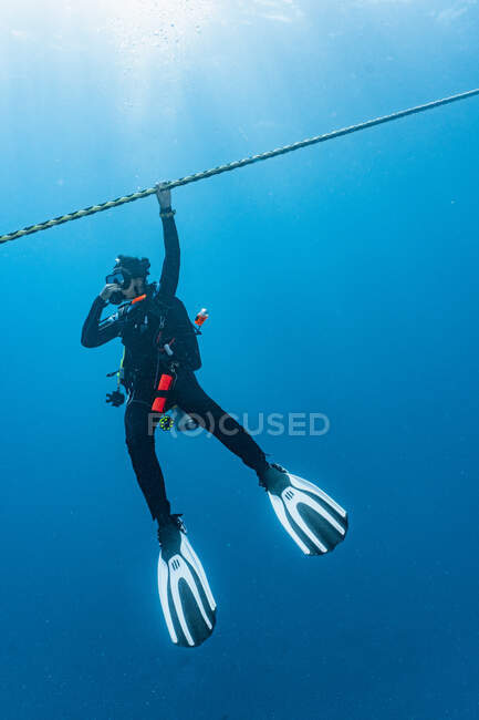 Diver holding on to rope during the mandatory three minute safety stop — Stock Photo