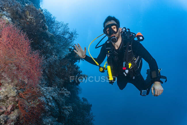 Diver exploring coral at the great Barrier Reef — Stock Photo
