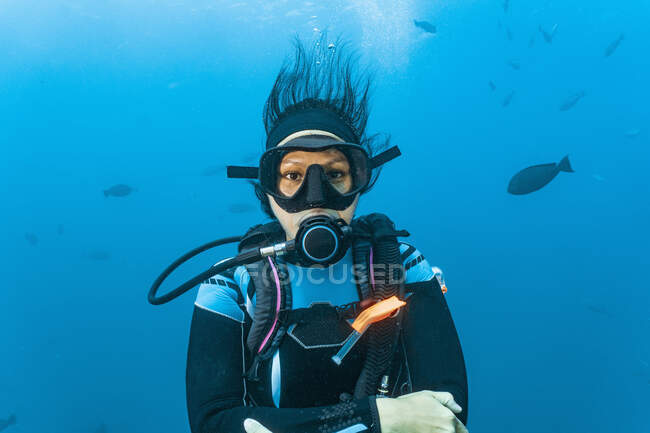 Дайвер дивиться на камеру Великого Бар'єрного рифу. — стокове фото