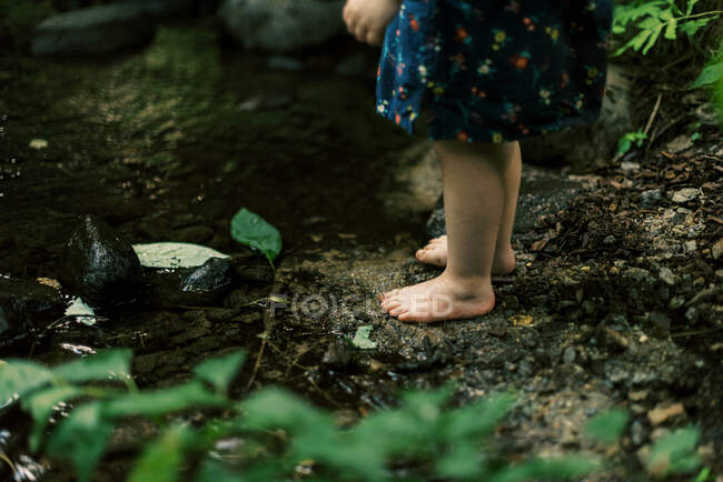 Two year old toddler girl standing at the shore of a woodsy river — Stock Photo